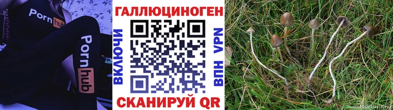 Псилоцибиновые грибы Magic Shrooms  продажа наркотиков  omg ONION  Ирбит 