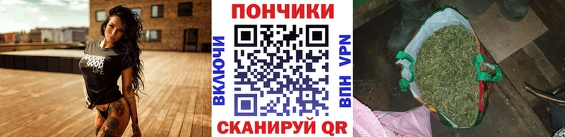 мориарти состав  кракен tor  Ирбит  Канабис OG Kush 